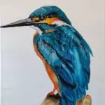 IJsvogel